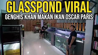 GREBEK GLASSPOND IKAN PREDATOR @SANSANTV YANG VIRAL DI TIKTOK!!!