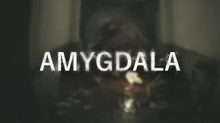 Amygdala - Official Announcement Teaser