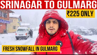 Srinagar To Gulmarg By Shared Taxi And Bus Service | Fresh Snowfall in Gulmarg | Gulmarg 2024