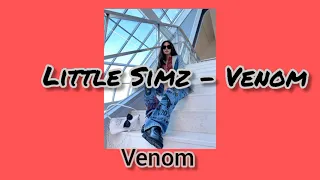 Little Simz - Venom (Lyrics)