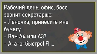 🔥Жена Ругает Мужа...Сборник Улётных Анекдотов, Для Супер Настроения!