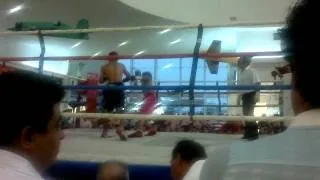 Box chetumal