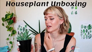 Quick Lil Plant Unboxing | John St Gallery