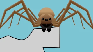 A Guide to Brown Recluse Spiders