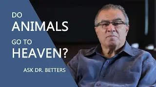 Do animals go to heaven?