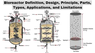 Bioreactors | Design, Principle, Parts, Types, Applications, & Limitations | Biotechnology Courses