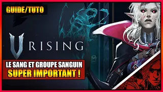 GUIDE/TUTO - L'IMPORTANCE DU SANG ET DU GROUPE SANGUIN SUR V RISING - FR