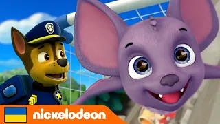 Щенячий патруль | Цуценята рятують загубленого кажана!  | Nickelodeon Cyrillic