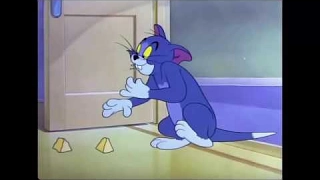 Tom and Jerry 61 Episode Nit Witty Kitty 1951 Capitulo Invertido