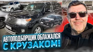 Автоподборщик облажался с Крузаком! Выбрал автохлам!