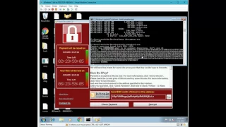 Ransomware WannaCry Decryption Tool