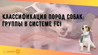 Классификация пород собак: группы в системе FCI