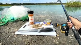 Eating Whatever I Catch.. (Catch and Cook) Cast Net + Fishing