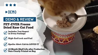 🐱 PET-EVER Freeze Dried Raw Cat Food Review: Is It the Ultimate Cat Cuisine? 🍖