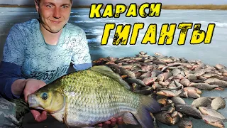 КАРАСЬ МОНСТР 2кг НЕ лезет в Лунку! Таких ГИГАНТОВ я не видел! ЧАНЫ Закрытие Сезона рыбалкой КАРАСЯ!