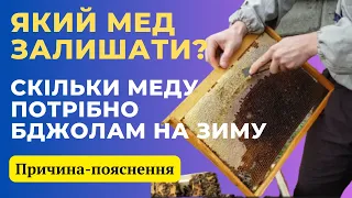 Скільки меду потрібно для сильних сімей на зиму? Який мед найкраще підійте для зимівлі бджіл.