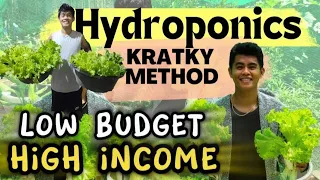 Everything You Need To KNOW To START HYDROPONICS AT HOME! Kratky Method