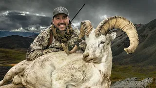 Dall's Sheep Hunting in Alaska - A Hunter's Dream!