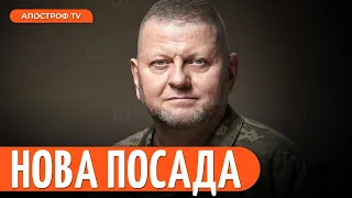 ❗️Зеленський погодив кандидатуру Валерія Залужного на нову посаду