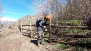 Lodge Pole Fencing Around the Homestead Pasture