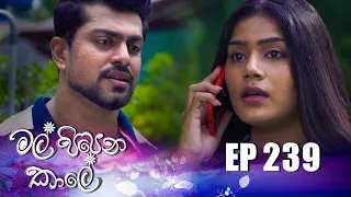 Mal Pipena Kale | Episode 239 02nd September 2022