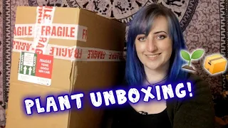 Plant Unboxing from Cowell's Garden Centre! 🇬🇧 | HOUSEPLANT HAUL