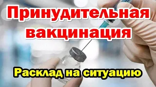 Руководителей обяжут вакцинировать весь персонал. Вакцинация населения