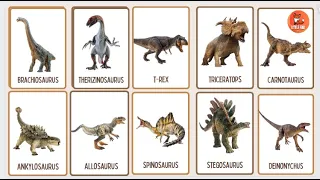 Flashcard - Dinosaur Names in English Part [1] #kids #dinosaur #dinosaurs