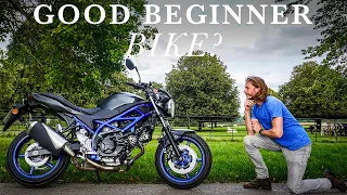 2022 Suzuki SV650 Review | A Good Beginners Motorcycle?