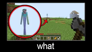 Minecraft wait what meme part 265 (Scary Long Zombie)