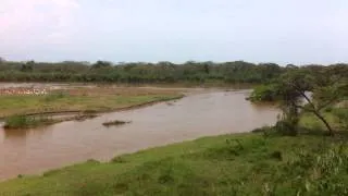 Rusizi River (Congo, Burundi border)