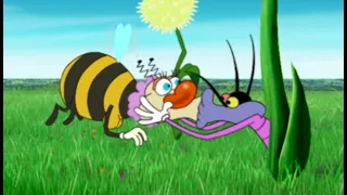 Oggy and the Cockroaches - FALL IN LOVE (S01E73) CARTOON | New Episodes in HD