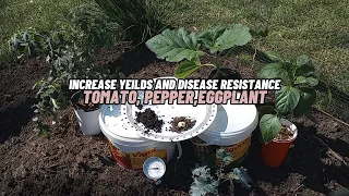 Do this before planting Tomatoes, Peppers, Eggplant, Soil temperature is Important, increase yields.