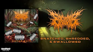 EPIGLOTTIS - GATOR BAIT [OFFICIAL PROMO STREAM] (2023) SW EXCLUSIVE