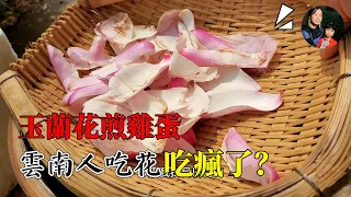 Yunnan people are obsessed with eating flowers! The most popular yucca fried eggs, it is not easy