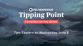 Tipping Point: Fisheries on the Brink - A PBS NewsHour Special