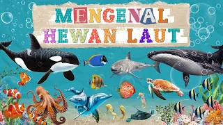 Mengenal Nama-Nama Hewan Laut | Nama Hewan Laut Dalam Bahasa Inggris
