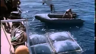 78. Одиссея Жак-Ив Кусто, «Акулы» Jacques-Yves Cousteau
