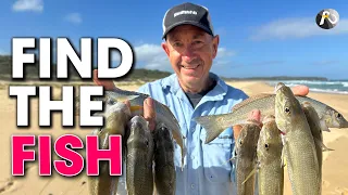 VALUABLE Beach Fishing INSIGHTS to find the Fish!