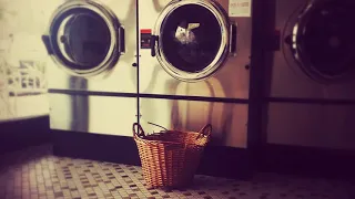 PEACEFUL LAUNDROMAT • 10H of Washing Machine Sounds • Open 24/7