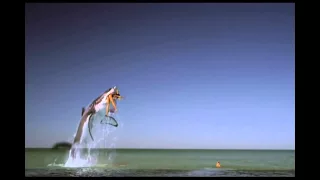 Movie 43 - Tampax Shark Commercial