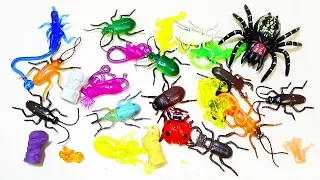 TOY COCKROACHES Lizunov ERASERS animals dinosaurs Videos for kids learn the names of animals