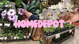 HomeDepot 🌱 Plants