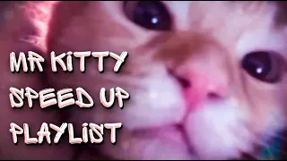 MR. KITTY MOST POPULAR SONGS PLAYLIST [speed up]
