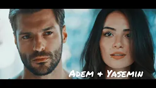 Yeni Hayat | Adem Yasemin