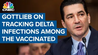 Dr. Scott Gottlieb: U.S. should track Delta infections in vaccinated people