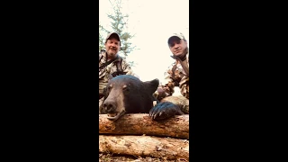 Saskatchewan bear hunt 2019