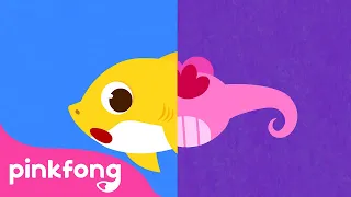 Avez-vous Vu Ma Queue ? | Baby Shark en français | Pinkfong, Bébé Requin ! Chansons pour Enfants