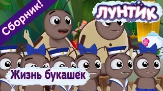 Лунтик 🐜 Жизнь букашек 🐜 Сборник мультфильмов