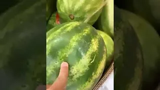 Poked Watermelon Squirts Juices || ViralHog